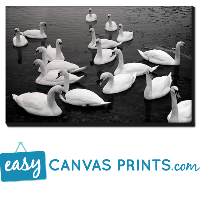 easycanvas prints groupon